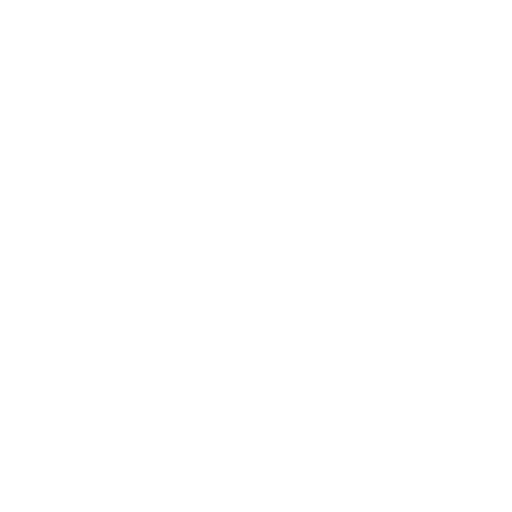 Website Speed Optimization